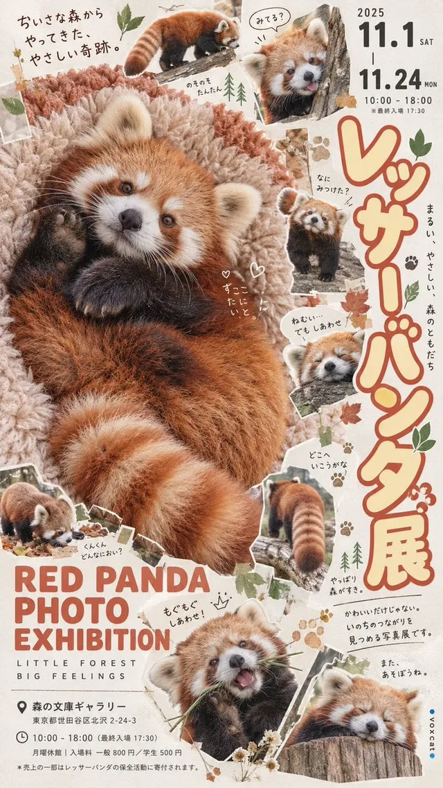 [角色名]，将其设计为一张具有日本独立艺术展览气质的角色主题摄影拼贴海报。

保留角色最核心的身份识别特征，包括面部结构、发型、发色、瞳色、标志性配饰、服装轮廓、主色与独特气质。人物角色采用真实成年形象，动物角色保留真实动物外形，其他角色根据原始身份进行具有真实材质的视觉转译。