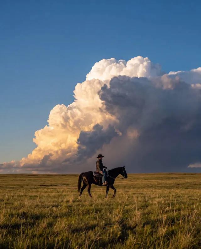 Vertical landscape photography, vast grassland horizon, a cowboy with black wide-brim hat riding a dark black horse walking horizontally, be