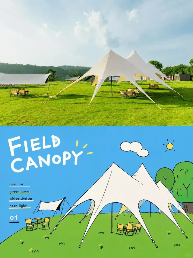 Prompt 1 — Field Canopy