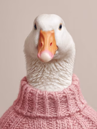 پرامپت پس‌زمینه با نانو بنانا جمینای : A portrait of a white goose wearing a knit… - ساخته‌شده با نانو بنانا جمینای