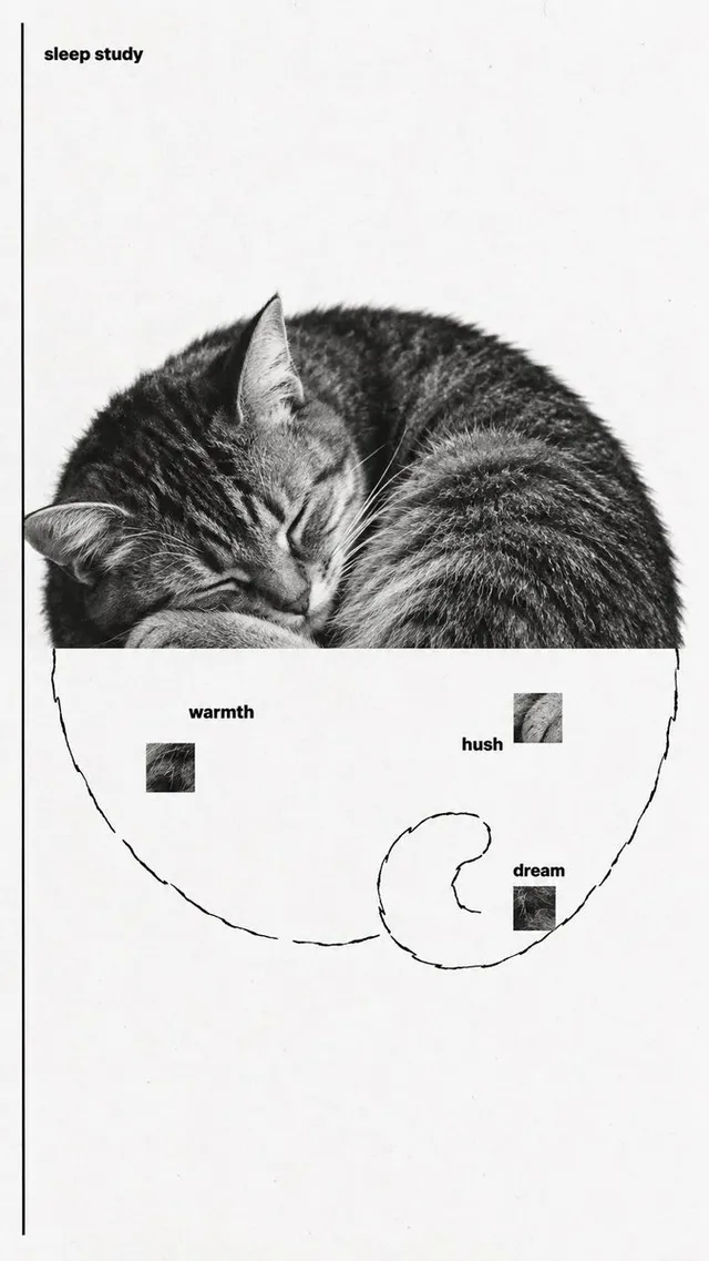 Design a finished experimental editorial poster, 9:16 — a...